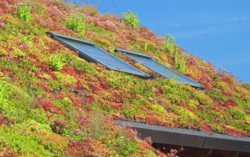 Reay living roof systems