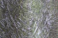 Reay fibreglass roof work